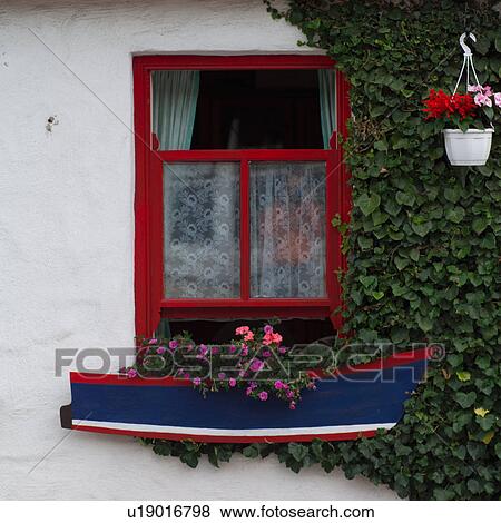 Window flower box View Large Photo Image Stock Photo - Window flower box. Fotosearch