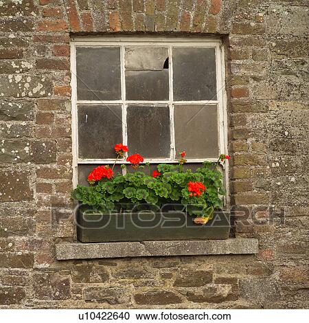 Window of Rural farmhouse View Large Photo Image Stock Image - Window of Rural farmhouse. Fotosearch