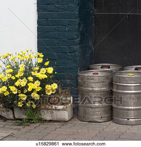 Yellow Flowers View Large Photo Image Stock Image - Yellow Flowers. Fotosearch