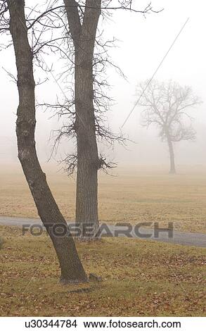 autumn fog in Assiniboine Park, Winnipeg, Manitoba View Large Photo Image Picture - autumn fog in Assiniboine Park, Winnipeg, Manitoba. Fotosearch