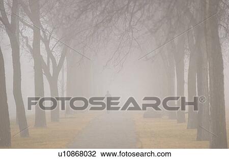 Stock Image - autumn fog in Assiniboine Park, Winnipeg, Manitoba. Fotosearch