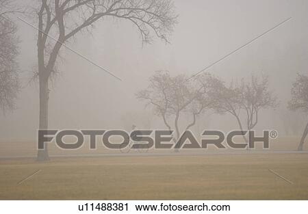 Stock Image - autumn fog in Assiniboine Park, Winnipeg, Manitoba. Fotosearch
