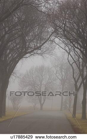 autumn fog in Assiniboine Park, Winnipeg, Manitoba View Large Photo Image Stock Photo - autumn fog in Assiniboine Park, Winnipeg, Manitoba. Fotosearch