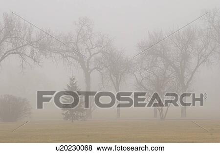autumn fog in Assiniboine Park, Winnipeg, Manitoba View Large Photo Image Stock Photo - autumn fog in Assiniboine Park, Winnipeg, Manitoba. Fotosearch