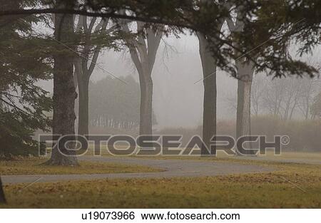 Stock Photograph - autumn fog in Assiniboine Park, Winnipeg, Manitoba. Fotosearch