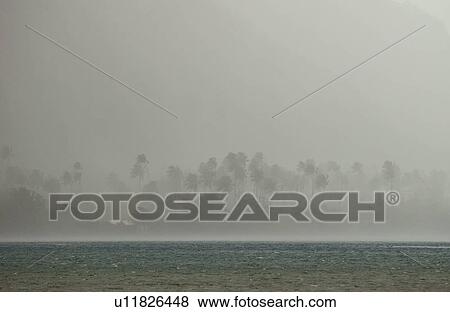 Fog obscuring trees on a beach, Moorea, Tahiti, French Polynesia, South Pacific View Large Photo Image Stock Photo - Fog obscuring trees on a beach, Moorea, Tahiti, French Polynesia, South Pacific. Fotosearch