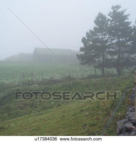 Ireland - fog landscape in Irish countryside View Large Photo Image Stock Photograph - Ireland - fog landscape in Irish countryside. Fotosearch