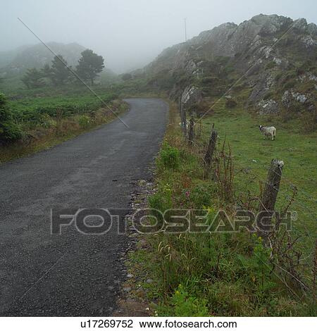 Stock Image - Ireland - fog on road of Irish countryside. Fotosearch