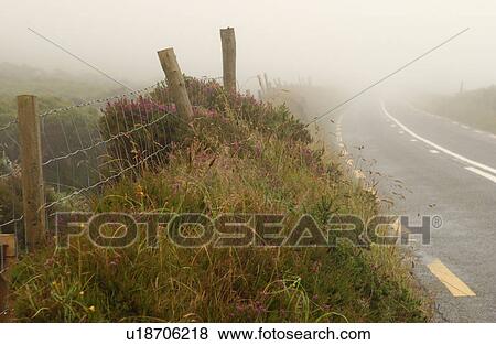 Ireland - foggy road in counryside View Large Photo Image Stock Photo - Ireland - foggy road in counryside. Fotosearch
