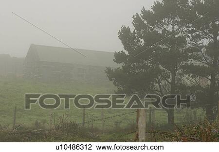 Rural Ireland - Building and tree in fog View Large Photo Image Stock Image - Rural Ireland - Building and tree in fog. Fotosearch