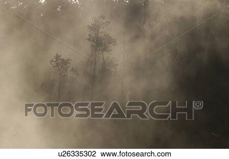Volcano National Park - Big Island of Hawaii - Steam Vents and Sulpher Bank View Large Photo Image Stock Image - Volcano National Park - Big Island of Hawaii - Steam Vents and Sulpher Bank. Fotosearch