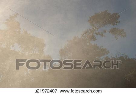 Stock Photo - Volcano National Park - Big Island of Hawaii - Steam Vents and Sulpher Bank. Fotosearch