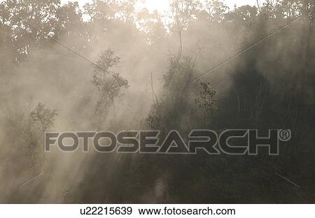 Stock Photo - Volcano National Park - Big Island of Hawaii - Steam Vents and Sulpher Bank. Fotosearch