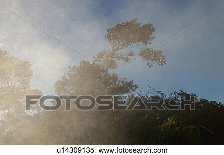 Volcano National Park - Big Island of Hawaii - Steam Vents and Sulpher Bank View Large Photo Image Stock Photography - Volcano National Park - Big Island of Hawaii - Steam Vents and Sulpher Bank. Fotosearch