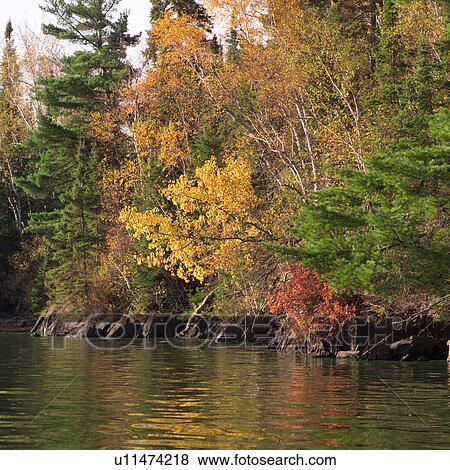 Lake shoreline in autumn colours View Large Photo Image Stock Photo - Lake shoreline in autumn colours. Fotosearch