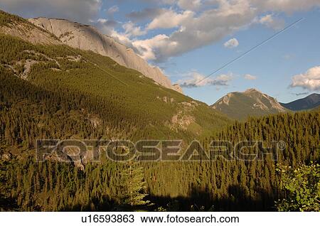 Landscape of Jasper National Park, Canada View Large Photo Image Stock Image - Landscape of Jasper National Park, Canada. Fotosearch
