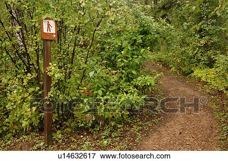 Path in forest around Oil Sands View Large Photo Image Stock Photo - Path in forest around Oil Sands. Fotosearch