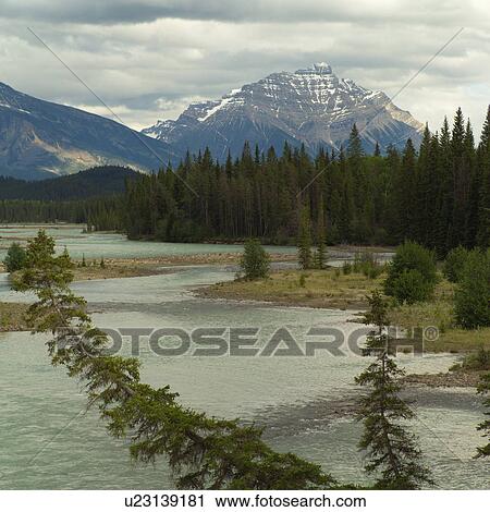 Stock Image - Reflection in Moose Lake. Fotosearch