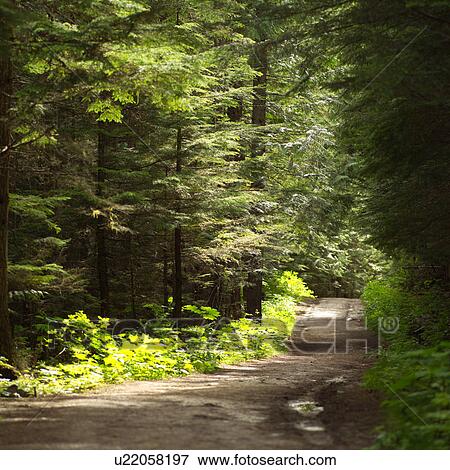 Stock Photo - Rocky Mountains. Fotosearch