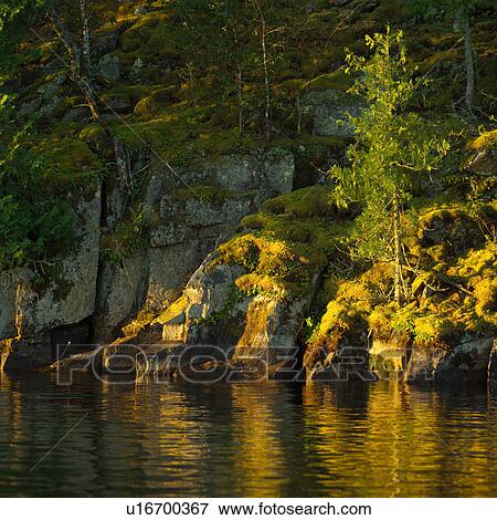 Rocky shoreline at Lake of the Woods View Large Photo Image Stock Photo - Rocky shoreline at Lake of the Woods. Fotosearch
