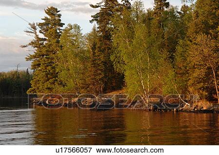 Stock Photo - Shoreline of Lake. Fotosearch