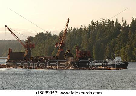 Logging Boat, Ucluelet Harbour, Vancouver Island, Canada View Large Photo Image Stock Image - Logging Boat, Ucluelet Harbour, Vancouver Island, Canada. Fotosearch