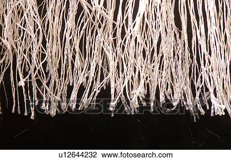 Stock Image - Prayer Shawl - Talis. Fotosearch