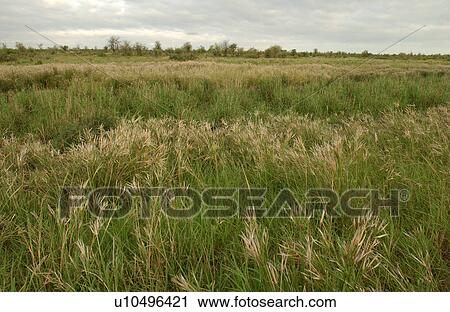 African Landscape View Large Photo Image Stock Image - African Landscape. Fotosearch