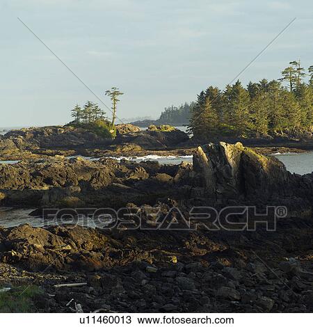 Broken Islands, Pacific Rim Park, Vancouver Island, Canada View Large Photo Image Stock Image - Broken Islands, Pacific Rim Park, Vancouver Island, Canada. Fotosearch