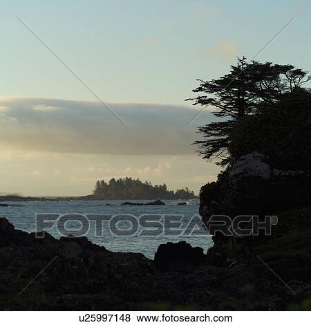 Broken Islands, Pacific Rim Park, Vancouver Island, Canada View Large Photo Image Stock Photo - Broken Islands, Pacific Rim Park, Vancouver Island, Canada. Fotosearch