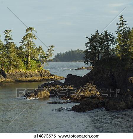 Broken Islands, Pacific Rim Park, Vancouver Island, Canada View Large Photo Image Stock Photography - Broken Islands, Pacific Rim Park, Vancouver Island, Canada. Fotosearch