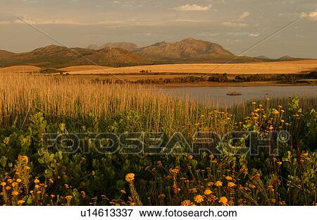 Stock Photo - Coastal Landscape - South Africa. Fotosearch