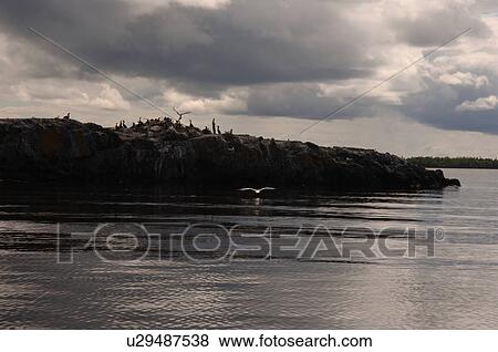 Dark Clouds over island at Lake of the Woods View Large Photo Image Stock Photo - Dark Clouds over island at Lake of the Woods. Fotosearch