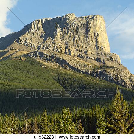 Stock Image - Fallen tree logs in Robson River, Mt. Robson Provincial Park, Canada. Fotosearch