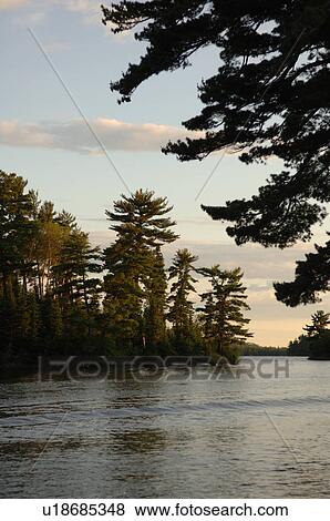 Stock Photo - Lake of the Woods at twilight. Fotosearch