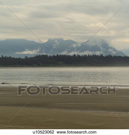 Stock Image - Low tide on beach, Pacific Rim National Park, Vancouver Island, Canada. Fotosearch