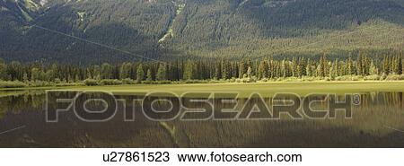 Stock Image - Reflection in Lake, Robson Provincial Park, Canada. Fotosearch