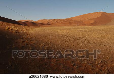 Sand Dunes of Sossusvlei - Namib desert, Namibia View Large Photo Image Stock Photograph - Sand Dunes of Sossusvlei - Namib desert, Namibia. Fotosearch