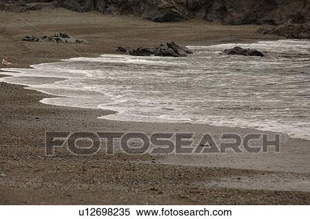 Stock Photography - Shoreline along Wickaninnish Beach Trail, Vancouver Island, Canada. Fotosearch