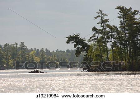 Picture - Shoreline of Lake. Fotosearch