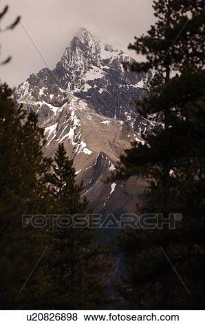 Stock Photo - Snow Capped Rocky Mountains, Jasper National Park. Fotosearch