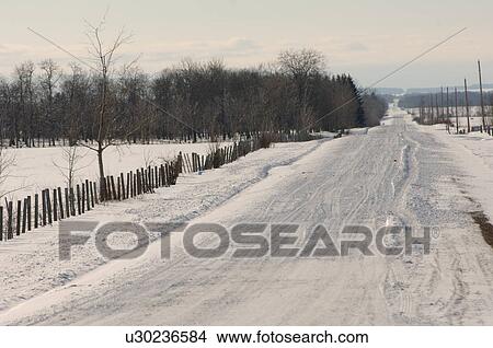 Picture - Snow covered road in Alberta Canada. Fotosearch