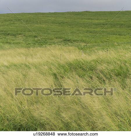 Stock Photo - Tropical Landscape of Kauai and Molokai, Hawaii. Fotosearch