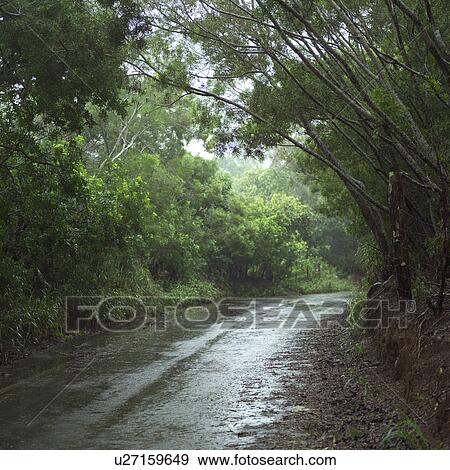 Stock Photo - Tropical Landscape of Kauai and Molokai, Hawaii. Fotosearch