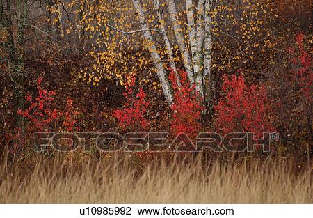Autumn Colors View Large Photo Image Stock Image - Autumn Colors. Fotosearch