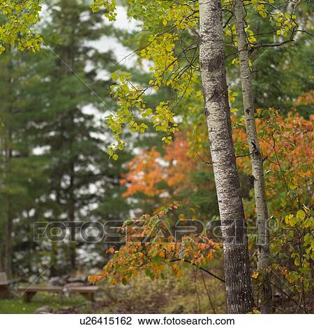 Autumn Colors View Large Photo Image Stock Image - Autumn Colors. Fotosearch