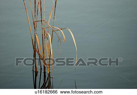 Autumn Colors View Large Photo Image Stock Photograph - Autumn Colors. Fotosearch