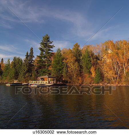 Forest in autumn colours View Large Photo Image Stock Image - Forest in autumn colours. Fotosearch