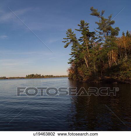Forest in autumn colours View Large Photo Image Stock Image - Forest in autumn colours. Fotosearch