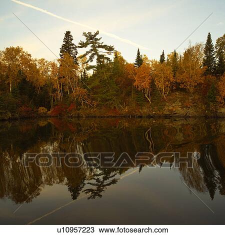Reflection of Trees in Water View Large Photo Image Stock Image - Reflection of Trees in Water. Fotosearch